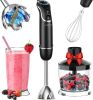 KOIOS 800-Watt/ 12-Speed Immersion Hand Blender, 4-in-1 Set